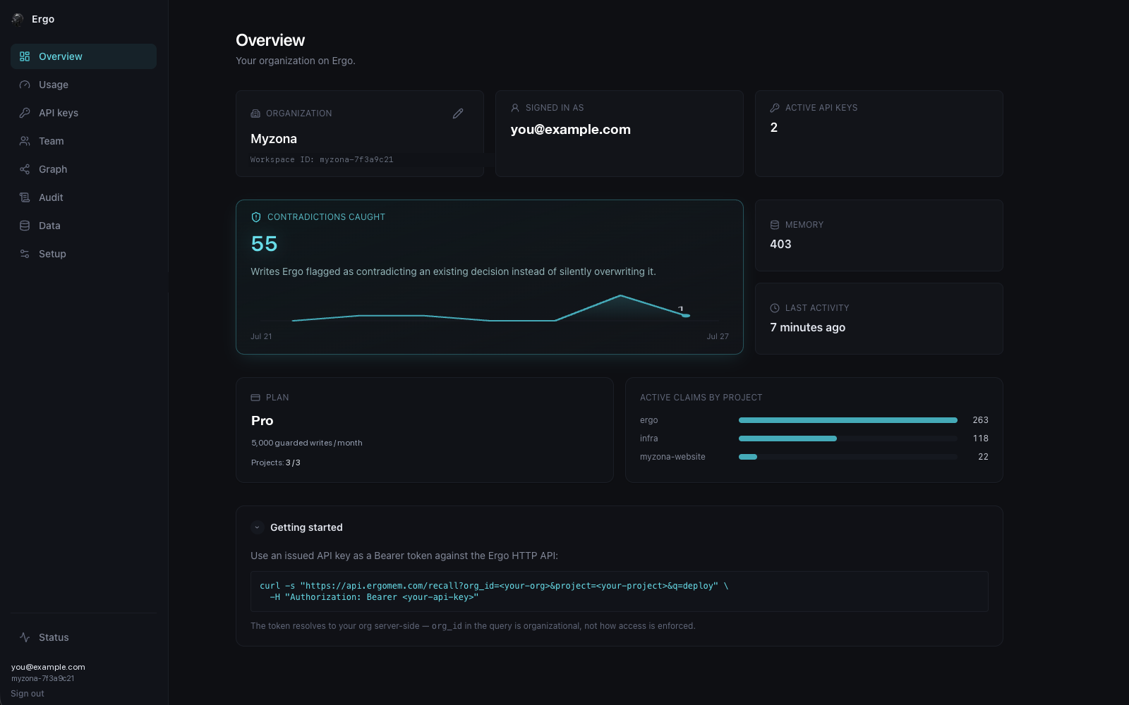 Ergo customer panel Overview — plan usage, memories per project, and contradictions caught